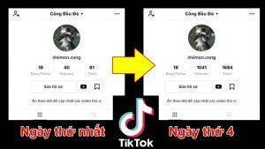 hack like hack view tiktok