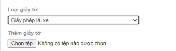 Tuỳ chọn 1 trong các loại giấy tờ trọng mục