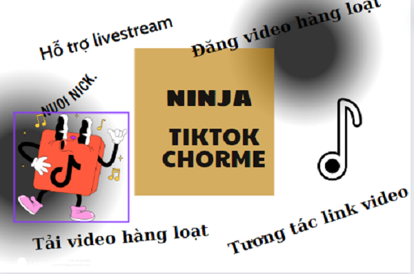 Giới thiệu phần mềm ninja tiktok chorme